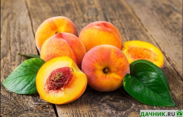 Фото: как называется сушеный персик?
