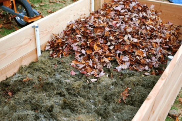 Надо ли убирать листву осенью на даче или нет?